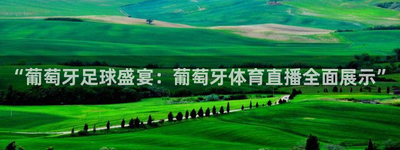 “葡萄牙足球盛宴：葡萄牙体育直播全面展示”