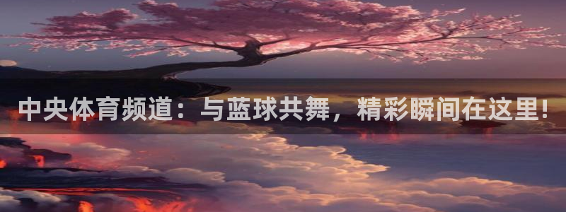 中央体育频道：与蓝球共舞，精彩瞬间在这里!