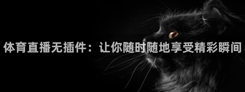 体育直播无插件：让你随时随地享受精彩瞬间